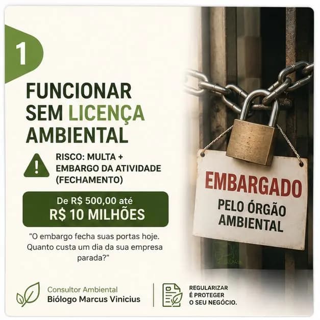 Foto do serviço: Consultoria ambiental